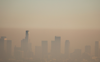 Smog zwiększa ryzyko wystąpienia alergii i astmy u dzieci  